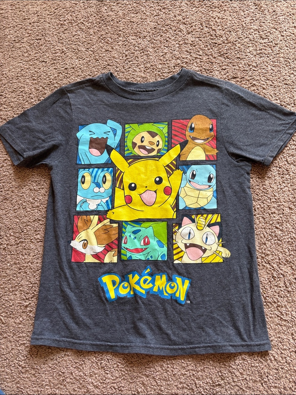 #279 Pokémon Shirt Pikachu and Friends - Charcoal - Kids T-Shirt size S